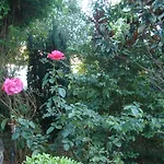 Kalemi Szálloda